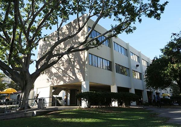 King Hall with a tree in the front right side of photo